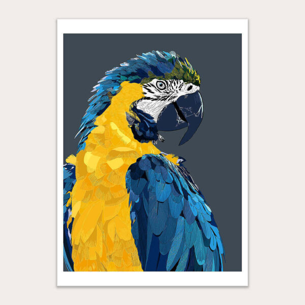Parrot Tropical Illustration