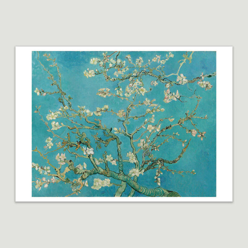 vincent Van Gogh Almond Blossoms 1