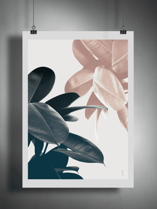 Ionolexi Rubber Plant Poster Mockup For Web