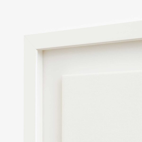 Floating Box Frame 3